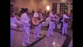 Mariachi Band Surprise at a Wedding [upl. by Ailsun463]