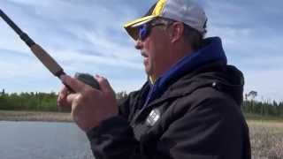 Sight Fishing for Lake Nipigon Pike [upl. by Dolf]