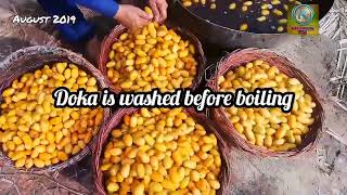 Narr Chohara Pila Chuhara kesy banta h  Detailed information about Yellow Dry Dates of Pakistan [upl. by Boswall313]