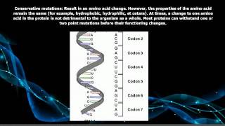 Types of Point Mutations [upl. by Schnell]