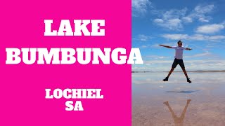 The Amazing Pink Lake Lake Bumbunga Lochiel South Australia [upl. by Batholomew343]