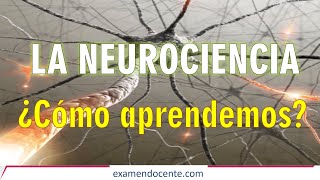 NEUROCIENCIA Y EDUCACIÓN  examen docente [upl. by Kulsrud]