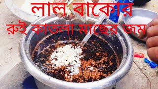 লাল বাকোড় তৈরির পদ্ধতি।। রুই কাতলা মাছের জম।।lal bakor recipe special fishing ।।liton [upl. by Kerril]