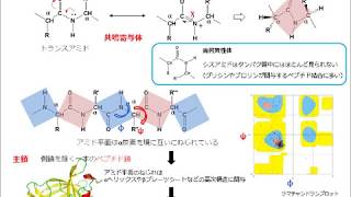 タンパク質の構造・基礎編 [upl. by Elyag]