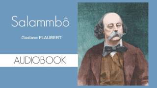 Salammbo by Gustave Flaubert  Audiobook  Part 12 [upl. by Selrahcnhoj]