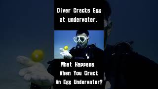 Diver Cracks Egg at 80 ft Deep shorts underwater [upl. by Borgeson312]