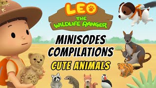 Cute Animals Minisode Compilation  Leo the Wildlife Ranger  Animation  For Kids [upl. by Ahsiuqat280]