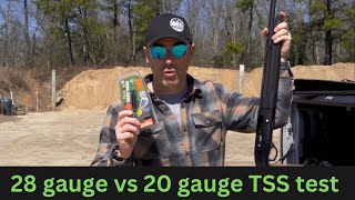 28 gauge vs 20 gauge TSS pattern test [upl. by Sansen713]