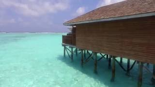 Meeru Island Resort Water Villa Tour [upl. by Inahpit983]