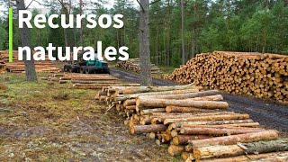 Recursos naturales  QUÉ SON CUÁLES SON IMPORTANCIA [upl. by Cindy]