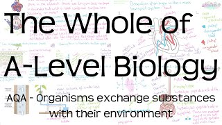 The Whole of AQA ALevel Biology Topic 3  Organisms exchange substances with their environment [upl. by Barbabra]