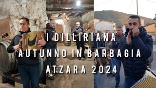 I DILLIRIANA AUTUNNO IN BARBAGIA ATZARA 2024shorts [upl. by Axela436]