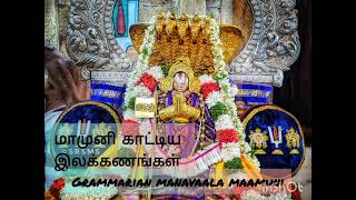 Swami Manavala Mamuni  his specialties as a Grammarian [upl. by Radek]