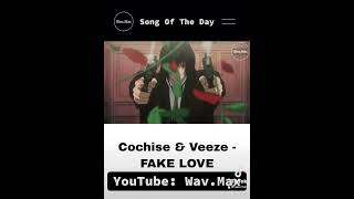 Cochise amp Veeze  FAKE LOVE Anime Visualizer [upl. by Kassie]