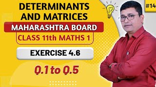 Determinants amp Matrices  Exercise 46  Q1 to Q5 I Maths I  Class 11th New Syllabus  P N Sir [upl. by Niroht]