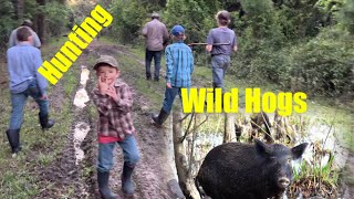 WILD Hog Hunting in Florida [upl. by Bonine]