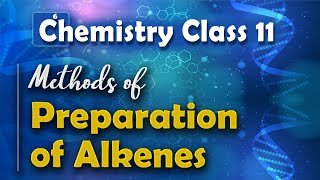 Methods of Preparation of Alkenes  Alkenes  Chemistry Class 11 [upl. by Arata]