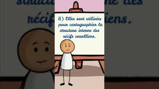 Question en biologie 📢  Ondes sismiques shorts video reels palestine viralvideo biologie [upl. by Ai614]