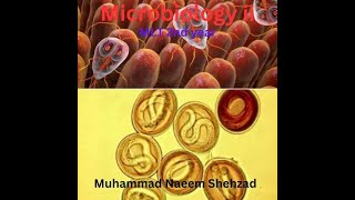 Microbiology ii  Parasitology  Lecture No 3 Malarial parasite Cycle [upl. by Phelan836]