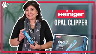 Heiniger Opal  Cordless Battery Clipper for Grooming  TRANSGROOM [upl. by Haeli]