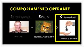 Diferença entre Comportamento Operante e Respondente [upl. by Reina]