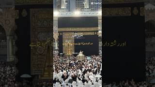 Translation of surah nahal islamicvideo islamdeen123 islamicprayer viralvideo [upl. by Giamo]