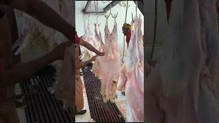 Sheep and goat skins processing sorts viralvideo [upl. by Alfredo]