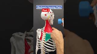 Part 1 of 2 Do workouts cause neck pain headaches or jaw pain neckpain headache tmj [upl. by Edison191]