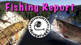 Knoll Lake Fishing Report  Mogollon Rim Fishing  Payson Arizona Fishing  Forest Lakes Fishing [upl. by Fillian]