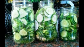 Garlic Dill Refrigerator Pickles Super Simple Recipe [upl. by Eetnod335]