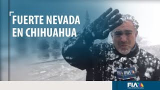 Fuerte nevada sorprende en norte de Chihuahua [upl. by Anuahsal]