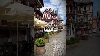 God of Wine’s town Bacharach Rhine Valley Germany [upl. by Inalaehak3]