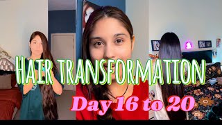 Day 16 to 20  hair transformation  Aymen zahra [upl. by Idnarb]