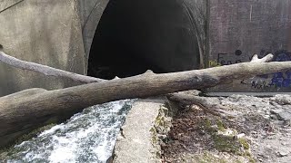 Abandoned Amphitheater Antioch University and Tunnel Yellow Springs Ohio [upl. by Pan]