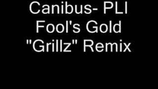 Canibus Poet Laureate Infinity Grillz Remix [upl. by Mairb291]