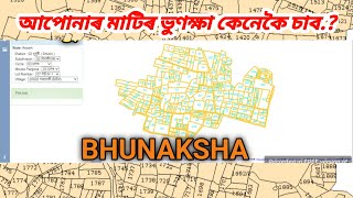 How to check Bhunaksha online Assam 2024  মাটিৰ মেপ কেনেকৈ চাব অনলাইন  ভুনক্ষা কেনেকৈ চাব [upl. by Arahahs]