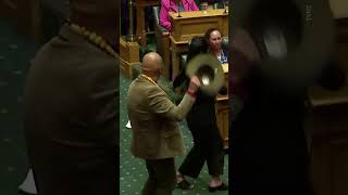 Haka protest parliament haka protest newzealandprotest parliament trending shorts viralvideo [upl. by Koser]