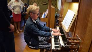 Orgel Hervormde Kerk Uddel [upl. by Gelya]