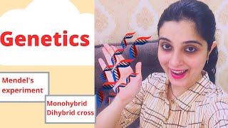 Genetics Revision Class 10 ICSE Biology Chapter 3Mendels experiment Monohybrid Dihybrid Cross DRUB [upl. by Glasgo957]