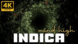 INDICA Mind High Music  WARNING  Intensely Relaxing Weed Effects Animated Video NO ADV 432Hz [upl. by Nottap136]