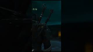 Geralt of Rivia starry night corvo bianco Witcher 3 [upl. by Zetram125]