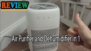 Detailed Review of the Afloia Air Purifier and Dehumidifier 2 in 1 Machine [upl. by Aihseken661]