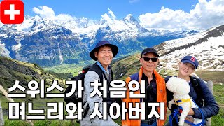 🇨🇭 시아버지와 캠핑카 애견동반 스위스 여행 First 피르스트 곤돌라 탑승료  애견동반 해외여행  캠핑카 해외여행  유라시아 횡단 059 [upl. by Roselane]