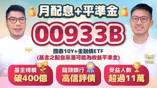 00933B金融債ETF月配啟動 一天成交317萬張破記錄 龍頭銀行高信評債佈局降息行情  柴鼠ETF新同學 存股 金融股 [upl. by Cattier553]