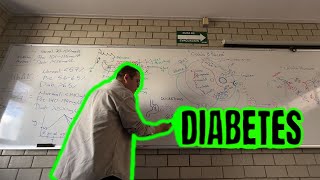 Diabetes fisiología fisiopatologia y tratamiento [upl. by Belloir]