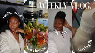 WEEKLY VLOG Working out Clothes and Grocery haul  Flowers  Deep Conditioning my braids etc [upl. by Aiceila]