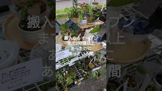 イベント実績2024630 plants 観葉植物 [upl. by Aurelio]