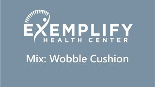 Wobble Cushion Exercise [upl. by Argus]