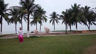 Dr Pauline Baos Yang Tai chi quan 40Form杨氏太极拳40式 [upl. by Cogen554]