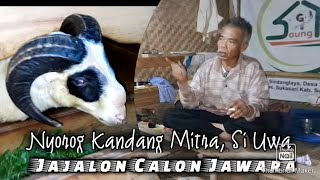 NYOROG KANDANG MITRA MELIHAT JAJALON CALON JAWARA [upl. by Iaw777]